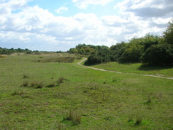 Sep 2013: C15 looking east